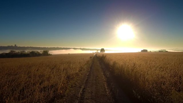 Drone flight over the dirt road in field at foggy morning. FullHD 1080p.