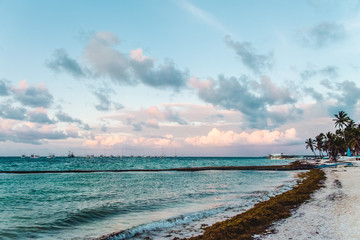 Bavaro Beaches in Punta Cana, Dominican Republic