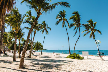 Bavaro Beaches in Punta Cana, Dominican Republic - 237332438