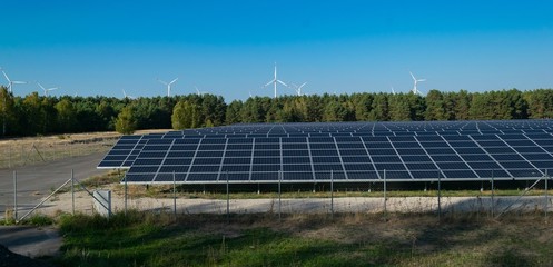 Solarpanelenfeld