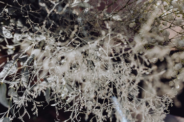 Closeup of assorted white dried flowers and leaves