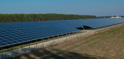 Solarpanelenfeld in der Sonne