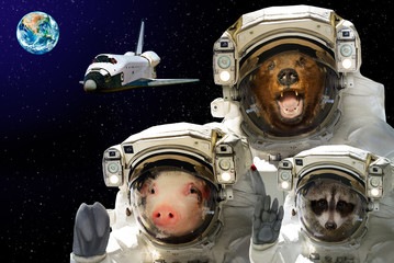 Space is available to all. Bear, raccoon and pig in space against the background of the space shuttle and the planet Earth. Elements of this image furnished by NASA.