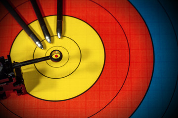 Target with a Viewfinder and Three Arrows - Archery Sport