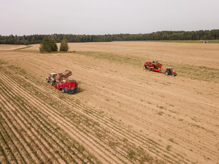 Obraz premium Aerial photo of the harvest in the field, the tractor rides through the field and gathers the crop