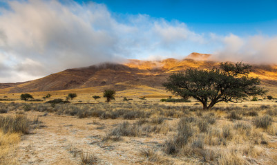 Fototapeta premium Damaraland, Namibia, a vast semi desert arid region in Namibia.