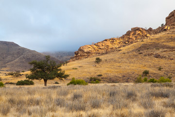 Damaraland, Namibia, a vast semi desert arid region in Namibia.