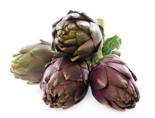 Obraz premium group of purple artichoke