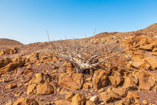 Damaraland, Namibia, A Vast Semi Desert Arid Region In Namibia.