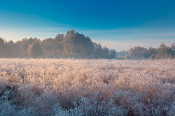 Beautiful autumn sunrise landscape with hoarfrost on the grass.