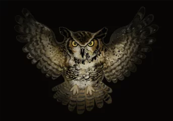 Keuken spatwand met foto Illustration of an owl icon vector for Halloween © Rawpixel.com