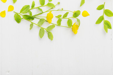 floral pattern with yellow buttercups on a white background