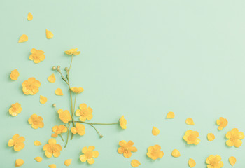yellow buttercups on green paper background