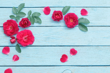 Beautiful roses on blue old wooden background