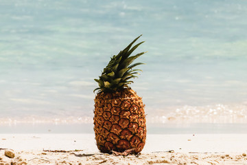 Saona Island near Punta Cana, Dominican Republic