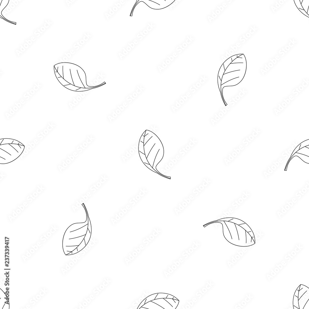 Poster spinach leave icon. outline illustration of spinach leave vector icon for web design isolated on whi