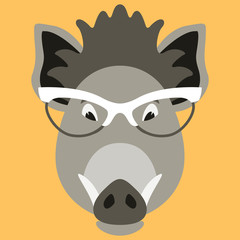 cartoon  boar  face in glasses, vector illustration front