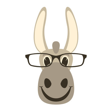 donkey face in glasses, vector illustration front 