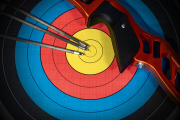 Target with Bow and Arrows - Archery Sport