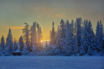 Fototapety na wymiar - Fototapeta24.pl