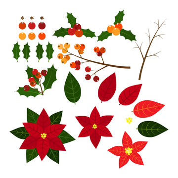 Christmas elements with set of holly berries and Poinsettia christmas flower.