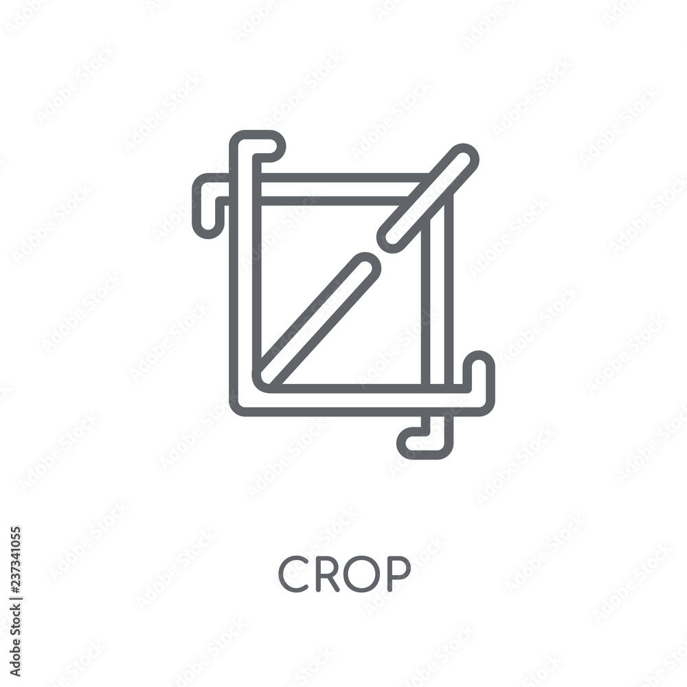 Poster crop linear icon. modern outline crop logo concept on white background from user interface and web n