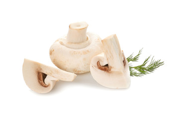 Fresh mushrooms on white background