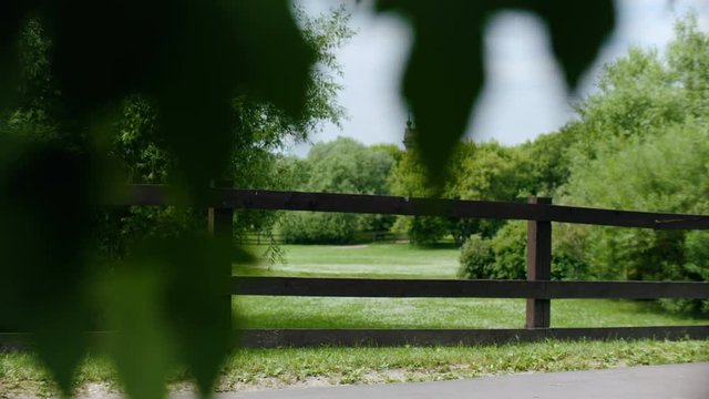 Fence brown color. Green meadow behind the fence
