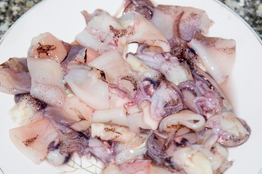Squid Tubes