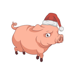 Piggy with a Santas hat on, walking, New Year 2019