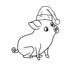 Small piglet with curious expression, sitting