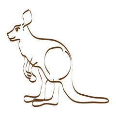Stylized line vector image of standing kangaroo