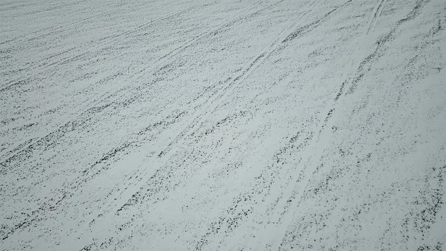 Aerial view of a field of winter wheat covered with white snow. Natural background. Top view

