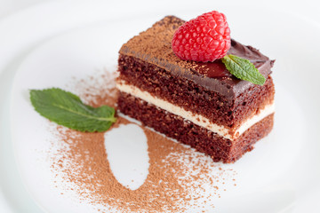 Chocolate cake with raspberry and mint.