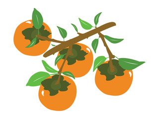 Vector fruit tangerine or orange branch, Abstract
