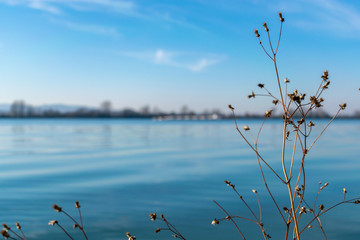 Fototapeta premium blue water and clouds on sky