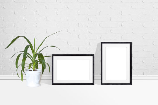 Two black photo frames and Yucca plant in flower pot near white bricks wall. Interior decor mock up
