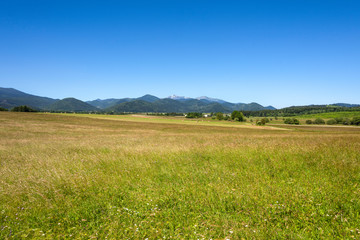 Panoramic view of open healthy nature with green fields, skyline, sunny blue sky and mountain chain in the background - concept landscape environment travel aggriculture field natural park scenic