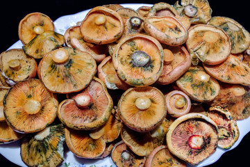 Cooked yummy mushrooms served on a platter
