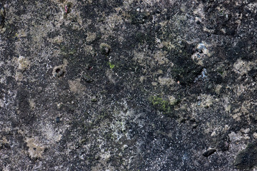 Old concrete texture background for design.Grey textured concrete wall