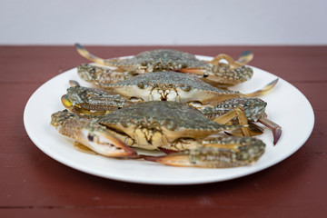 blue crabs on plate, on a wooden background