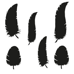 Silhouette of feathers on a white background. Sticker on the wall for the nursery or bedroom. Vector illustration. eps10