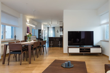 Interior of modern living room connected with the kitchen