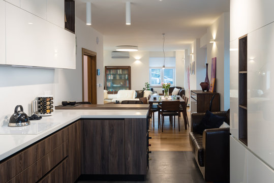 Kitchen connected with living room in modern house