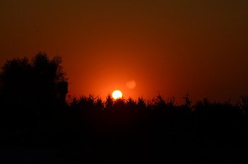 Obraz premium sunset in forest