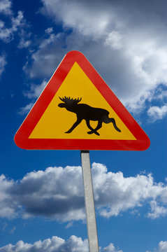 TRIANGLULAR RED AND TELLOW ROAD TRAFFIC SIGN WITH PICTURE OF MOOSE AND BLUE SUMMER SKY