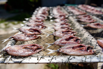 Salted Fish, Dried Fish food in Thailand market
