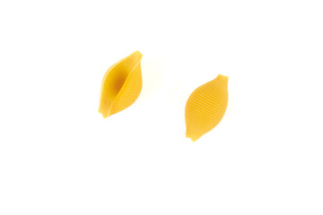Naklejka premium conchiglioni pasta , isolated on a white background.