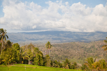 Fototapeta na wymiar Landscape with mountains on the island of Bali.