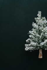 Christmas tree on dark table top. Rustic New Year black minimal background with copy space. Flat lay.